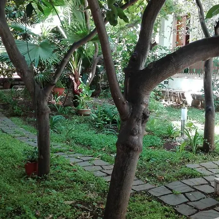 La Magnolia 3* 斯培基奥拉