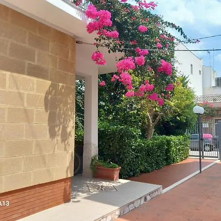 La Magnolia 斯培基奥拉