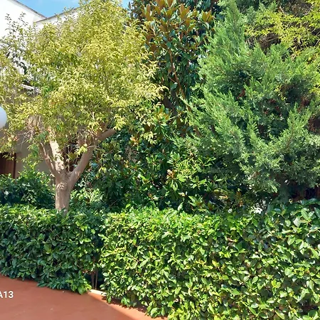 La Magnolia 3* 斯培基奥拉