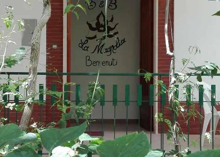 Couette-café La Magnolia