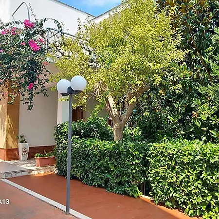 La Magnolia